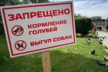 Таблички о запрете кормления голубей установили в сквере в центре Благовещенска