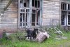 Дожди от кратковременных до сильных и +27 градусов: погода в Амурской области на среду