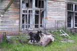 Дожди от кратковременных до сильных и +27 градусов: погода в Амурской области на среду