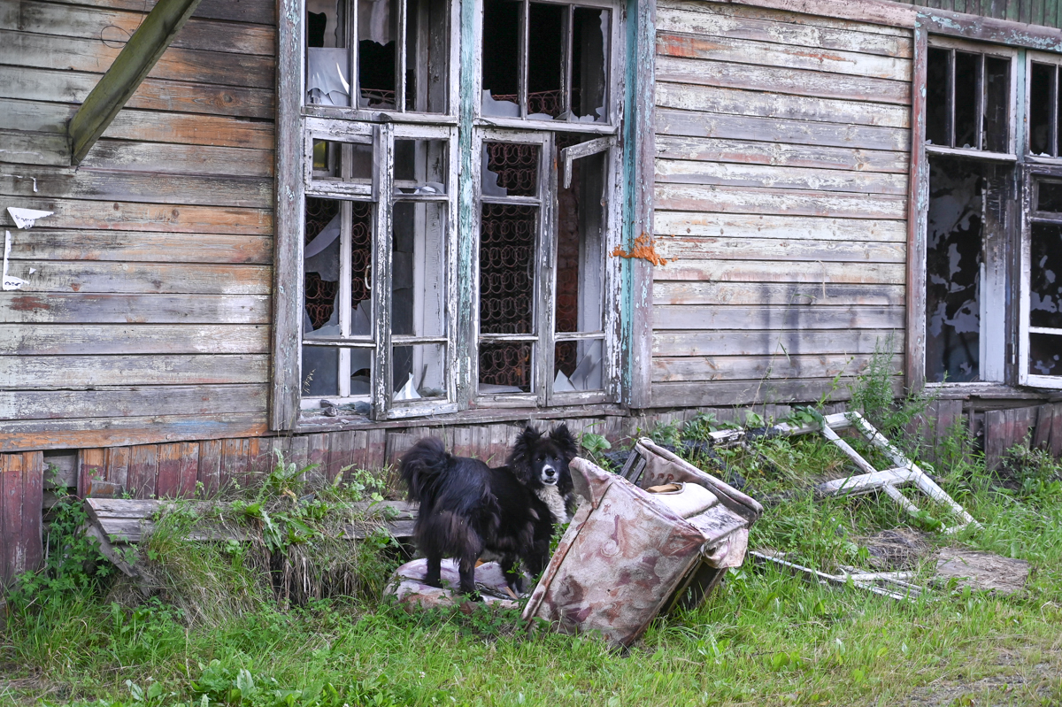 Фото: Алексей Сухушин