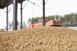 На китайский День влюбленных жители и гости Пекина попробуют соевую продукцию из Приамурья