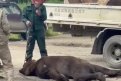 Фото: Скриншот видео из соцсетей
