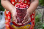 В Благовещенске продлили время работы ярмарок выходного дня