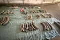 Фото: t.me/customs_rf