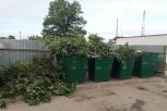 С 1 сентября за ветки и листья у мусорных контейнеров амурчан будут штрафовать