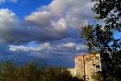 Фото: Екатерина Хоменко