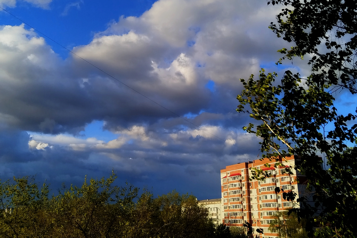 Фото: Екатерина Хоменко