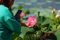 Фото: t.me/OrlovAmur