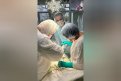 Фото: Амурская государственная медицинская академия