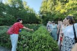 ​Какие амурские растения регулируют давление и сахар, а какие — помогут нарастить мышечную массу