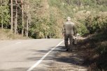 В зейской тайге десятые сутки ищут пропавшего пенсионера-грибника