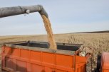 Амурские аграрии намолотили почти 235 тысяч тонн зерна