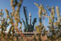 Фото: Иван Тимошенко, Роскосмос