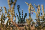 Ракета с символикой Восточного экономического форума вывела в космос биологическую лабораторию