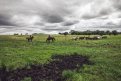 Фото: «Амурская правда»