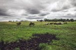 Дождливо и облачно: пятничный прогноз погоды в Амурской области