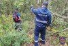 За день спасатели Приамурья поставили рекорд и помогли выбраться из леса семи грибникам