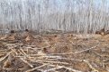 Фото: ПУ ФСБ России по Амурской области