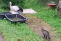 Скриншот видео
