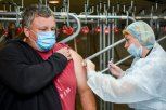 Защитите бизнес от гриппа: амурских работодателей призывают вакцинировать своих сотрудников
