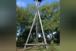 До 15 сентября в заказниках Приамурья от огня защитят свыше 130 гнезд краснокнижных птиц