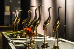 На «Амурской осени» зрителям покажут более 70 фильмов из 14 стран мира