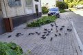 Фото: Соцсети