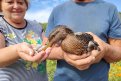 Фото: Любовь Соколовская
