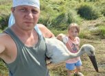 «Глаза как у Шрека»: амурский эколог помог аисту набрать силы для возвращения в дикую природу
