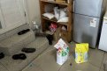 Фото: Управление Роспотребнадзора по Амурской области