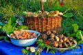 Грибной натюрморт из Бурейского округа. Автор: Юлия