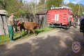 Фото: Амурский центр ГЗ и ПБ