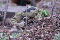 Фото: ЦВТИ «Арсенал»