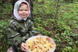 «Я так хочу, чтобы лето не кончалось»: на конкурс «Битва грибов» амурчане прислали почти 350 фото