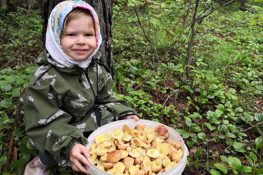 Машенька и маслята, поселок Поляковский, Зейский округ. Автор: Наталья