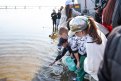 Фото: Алексей Сухушин