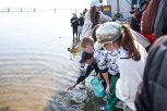 Мальков сазана выпустят на берегу реки Зея на завершении акции «Водорослям крышка»