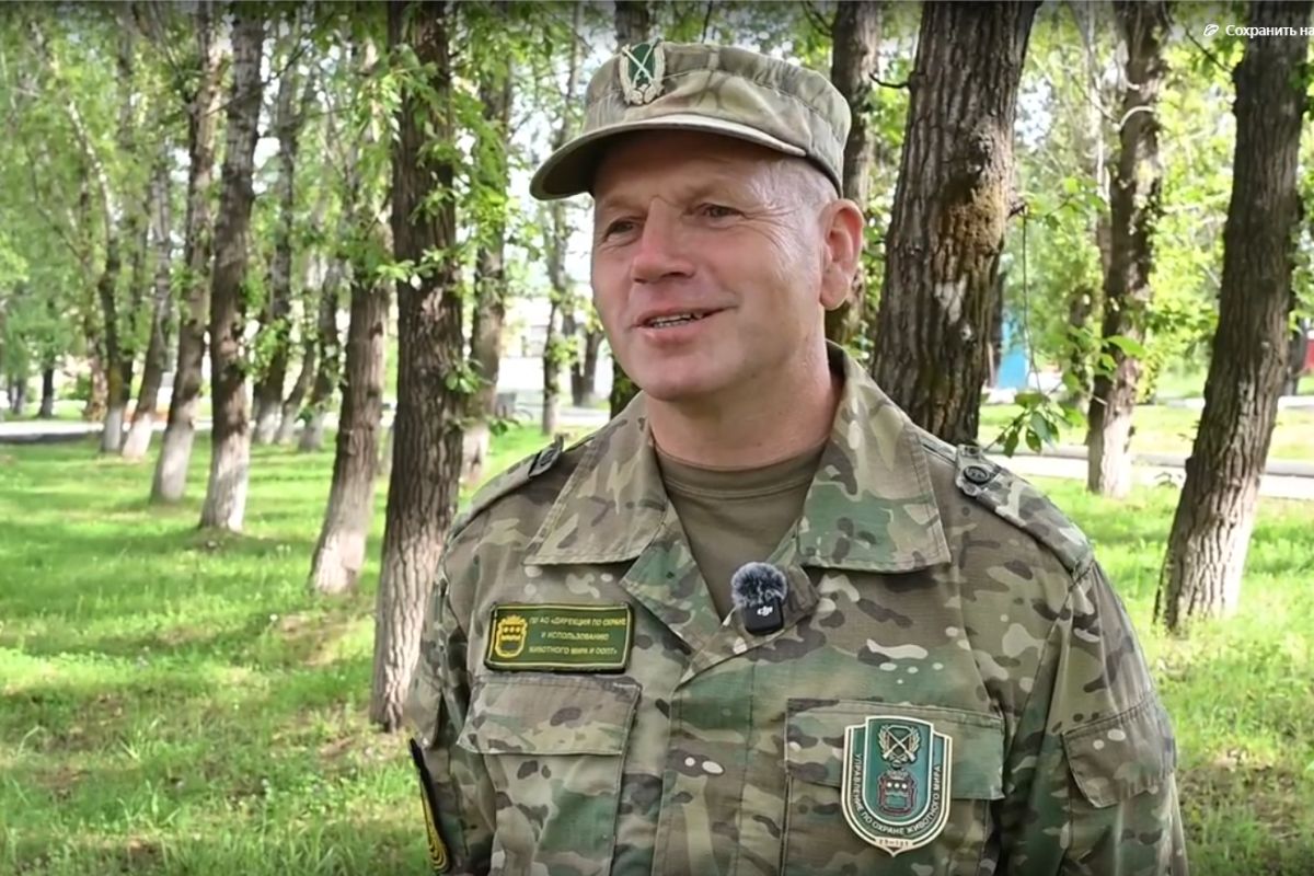 Фото: Скриншот видео правительства Амурской области