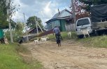 Житель Шимановска объяснил полицейским, почему стрелял из арбалета в козу