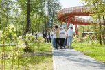 В городском парке Свободного открыли сиреневый сад