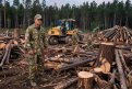 Фото: Сгенерировано в GigaChat MAX