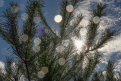 Фото: ar-bqs.ru