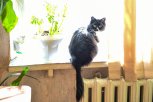 В шести северных поселках Зейского округа в понедельник начнется отопительный сезон