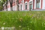 https://t.me/blagoveshchensk_rf
