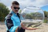 «Водорослям — крышка»: как 7,5 тонны пластика превратились в мальков сазана для Зеи