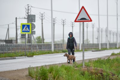 Амурскую область во вторник накроют дожди с грозами