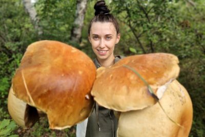 Грибной сезон закрыт: кто стал победителем конкурса «Амурской правды» «Битва грибов»