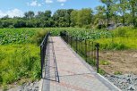 В Амурской области обустроили сквер у озера с лотосами Комарова