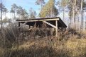 Фото: Управление ветеринарии Амурской области