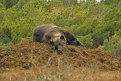 Фото: Сергей Подольский